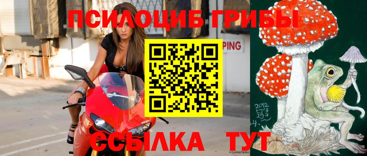 Городец  Псилоцибиновые грибы мицелий  Вход с VPN  Псилоцибиновые грибы Magic Shrooms 