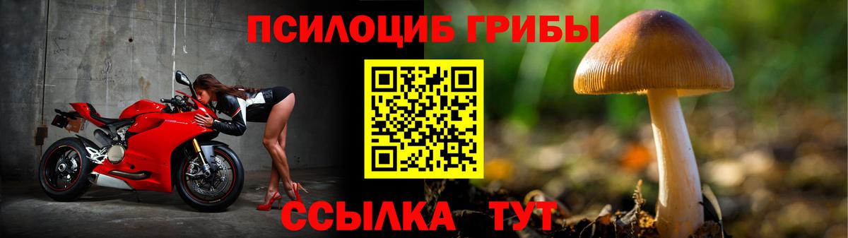 Галлюциногенные грибы мухоморы Городец